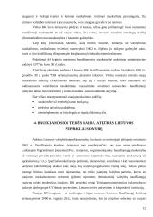 Baudžiamosios teisės raida 11 puslapis