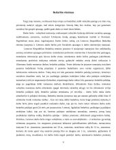 Bedarbio sąvoka ir rėmimas 6 puslapis