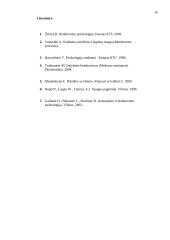 Bendravimo procesas 16 puslapis