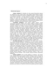 Bendravimo procesas 4 puslapis