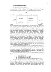 Bendravimo procesas 9 puslapis