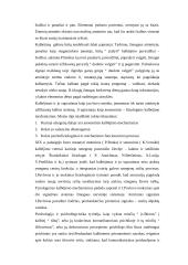 Bendravimas kaip keitimasis informacija, individų sąveika ir savitarpio pažinimas 4 puslapis