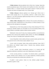 Civilinės teisės funkcijos ir uždaviniai 6 puslapis