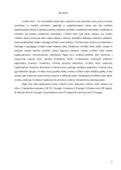 Civilinės teisės sistema 2 puslapis