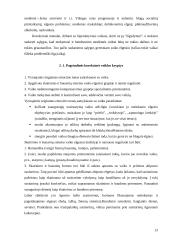 Hiperaktyvių vaikų ugdymas 13 puslapis