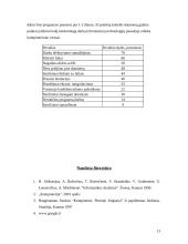 Kompiuterių virusai ir kitos kenkėjiškos programos 13 puslapis