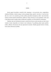 Lietuviškos paieškos sistemos ir jų vertinimas 3 puslapis