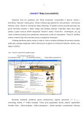 Lietuviškos paieškos sistemos ir jų vertinimas 7 puslapis