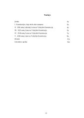 Lietuvos Konstitucijų principai ir "pamatiniai" dėsniai 13 puslapis