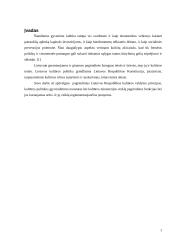 Lietuvos kultūros ministerija 2 puslapis