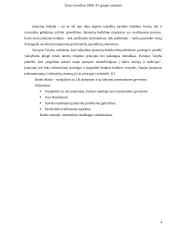 Kaip Lietuvos Respublikos įstatymai paliečia mano gyvenimą 3 puslapis