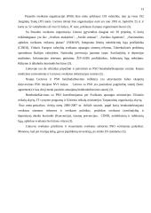 Lietuvos veikla JTO 13 puslapis