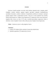 Lietuvos veikla JTO 3 puslapis
