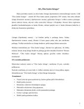 Lizingo sutartis 2 puslapis