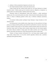 Lizingo sutartis 11 puslapis