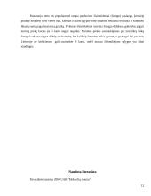 Lizingo sutartis 12 puslapis