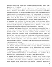 Lizingo sutartis 4 puslapis