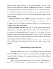 Lizingo sutartis 5 puslapis