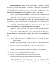 Lizingo sutartis 7 puslapis