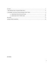 M. Vėberio (Max Weber) idealusis biurokratijos tipas 2 puslapis