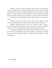 M. Vėberio (Max Weber) idealusis biurokratijos tipas 13 puslapis