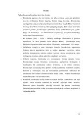 M. Weberio racionali biurokratija 12 puslapis