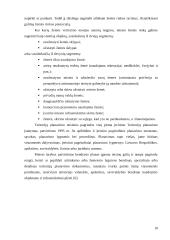 Metodologinės darnaus vystymosi nuostatos 10 puslapis