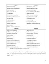 Mokyklos strateginė analizė: Kauno Kalniečių vidurinės mokykla 11 puslapis