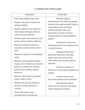 Mokyklos strateginė analizė: Kauno Kalniečių vidurinės mokykla 19 puslapis