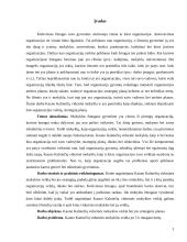 Mokyklos strateginė analizė: Kauno Kalniečių vidurinės mokykla 3 puslapis