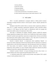 Mokyklos strateginė analizė: Kauno Kalniečių vidurinės mokykla 10 puslapis