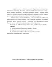 Naujosios viešosios vadybos pagrindai ir taikymo galimybės 3 puslapis