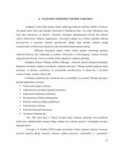 Naujosios viešosios vadybos pagrindai ir taikymo galimybės 10 puslapis