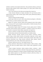 Naujosios viešosios vadybos charakteristikos 13 puslapis