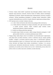 Naujosios viešosios vadybos charakteristikos 19 puslapis