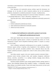 Nepilnamečių baudžiamosios atsakomybės ypatumai ir prevencija 3 puslapis