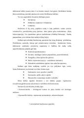 Neverbalinis bendravimas ir jo ypatybės 5 puslapis