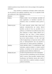 Nusikalstamos veikos sudėties elementai ir požymiai 6 puslapis