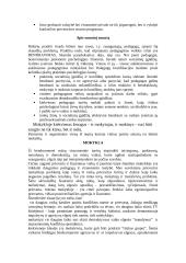 Prievartos rūšys ir sprendimo būdai 2 puslapis