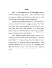 Pilietybės suteikimo mechanizmai 2 puslapis