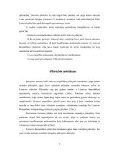 Pilietybės suteikimo mechanizmai 9 puslapis