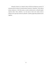 Pilietybės suteikimo mechanizmai 10 puslapis