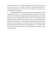 Platono idealios valstybės modelis 11 puslapis