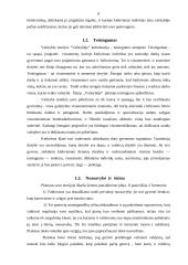 Platono idealios valstybės modelis 8 puslapis