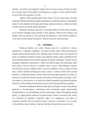 Platono idealios valstybės modelis 9 puslapis