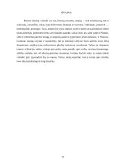 Filosofo Platono idealios valstybės modelis 14 puslapis