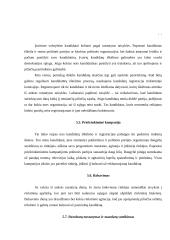 Rinkimai. Rinkimų sistemos 12 puslapis