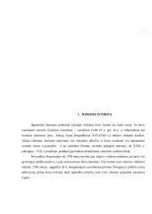 Rinkimai. Rinkimų sistemos 4 puslapis