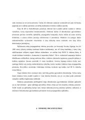 Rinkimai. Rinkimų sistemos 7 puslapis