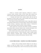 Valstybė ir teisė 2 puslapis